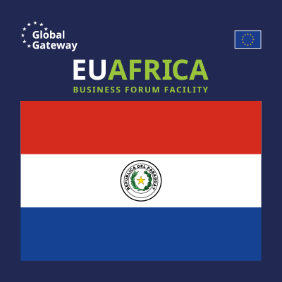 European Union Delegation – Paraguay Business Forum on Sustainable Forestry, Renewable Energies and Green Hydrogen, Sustainable Logistics and Clean Transport, Digitalisation and Sustainable Financing
