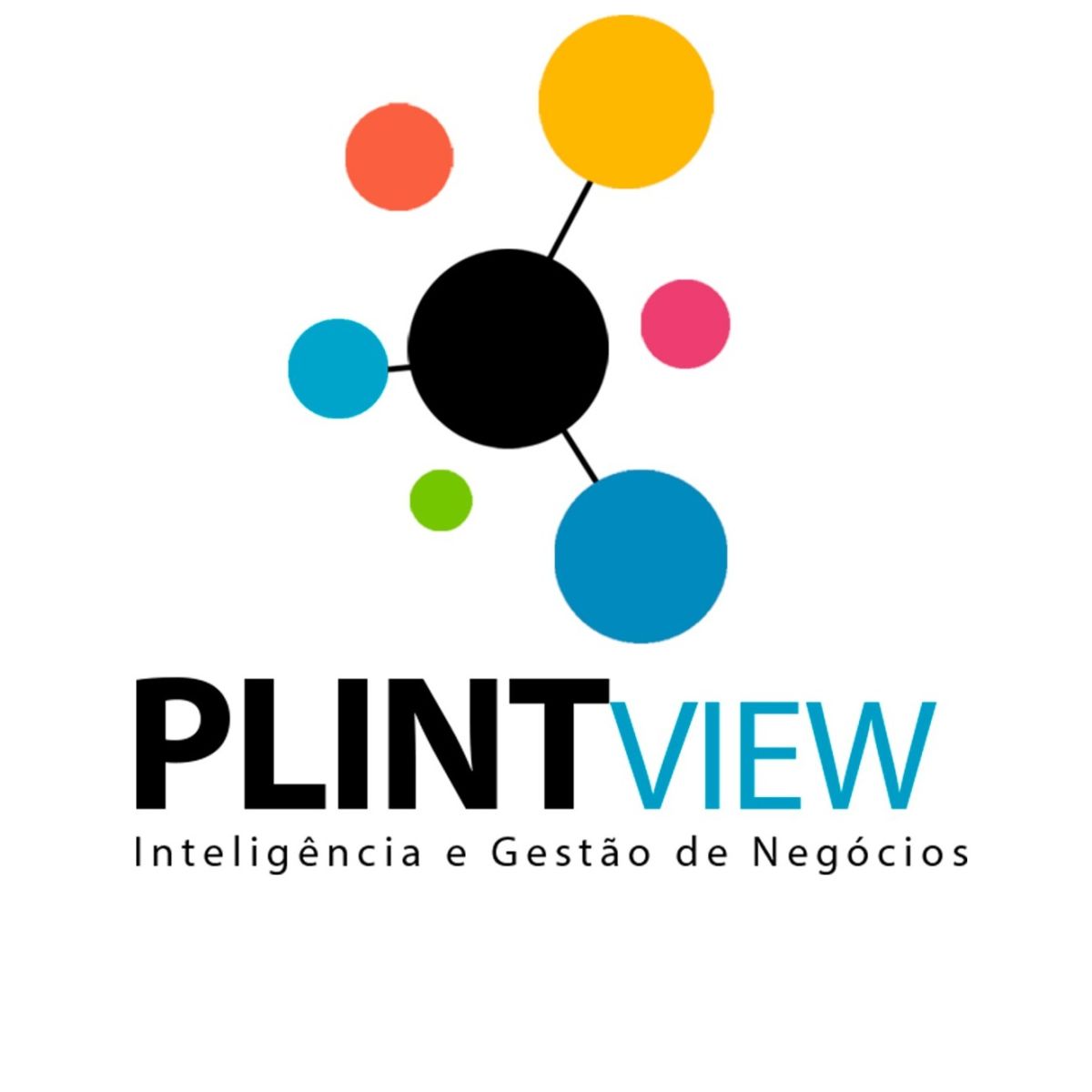 PlintView