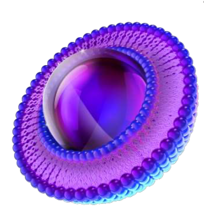 Liposomal Ingredients