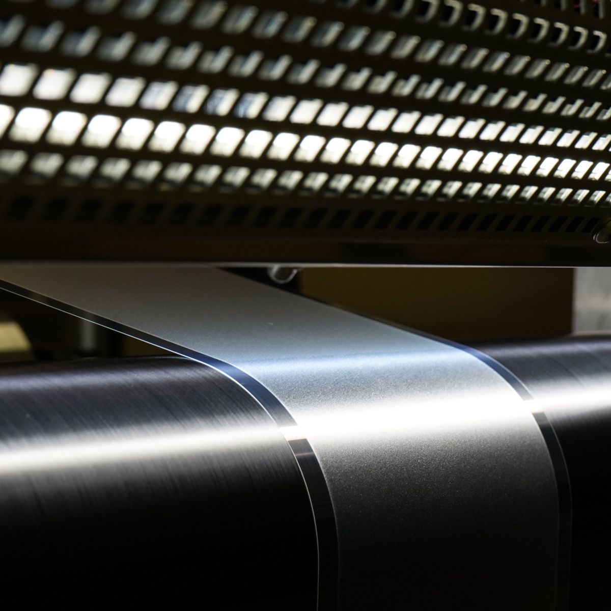 An undisputed expert