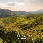 TAILOR-MADE EXPERIENCES VENETO