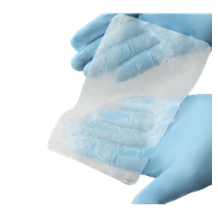 ExceReg Biological Surgical Graft