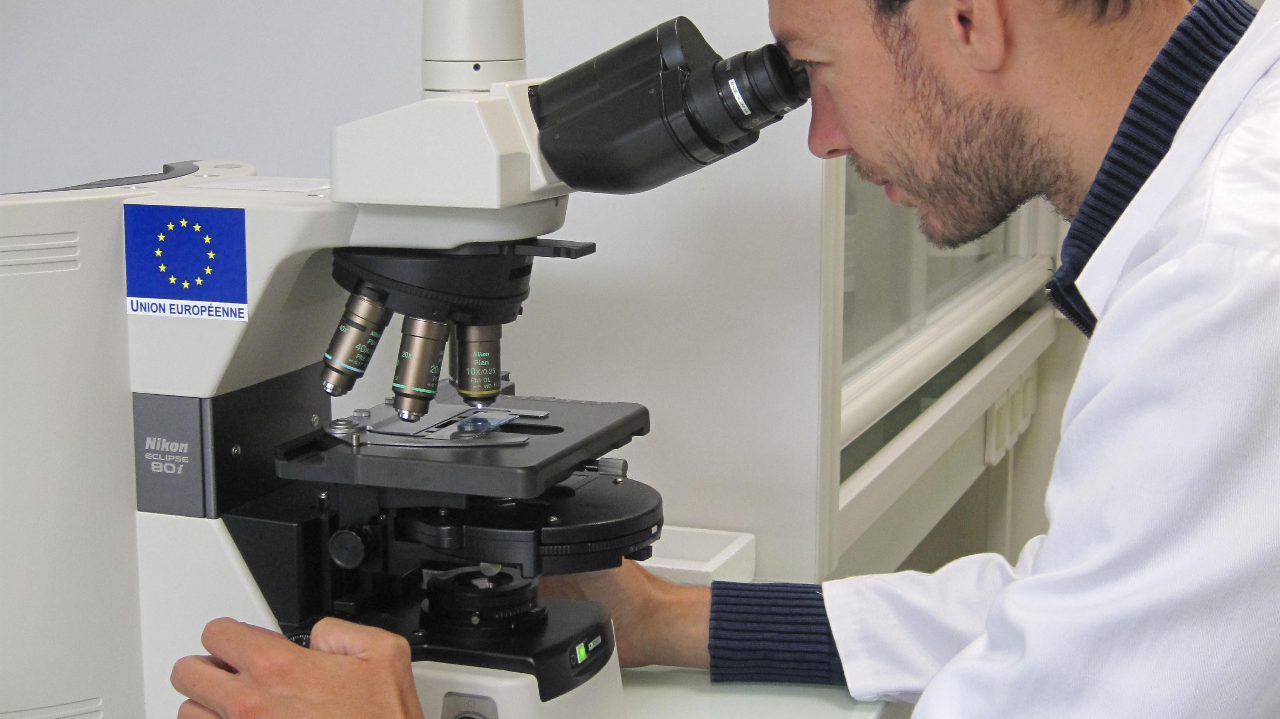 Mieux évaluer et comprendre le mode d’action des biosolutions pour capter de nouveaux marchés