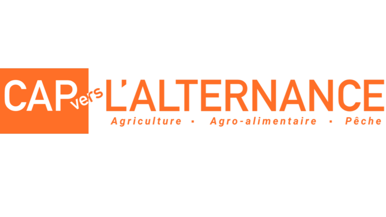 A la recherche de son alternance