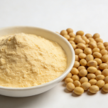 Soybean Isoflavones