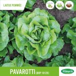 Gamme Laitues Résistantes au Corky Root