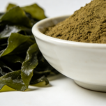Kelp Extract