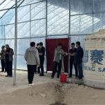 The Taklamakan Desert area in the southern Xinjiang region