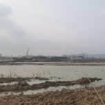 Case of Mud Solidification on the Beach in the Guangdong-Zhuhai Bay Area