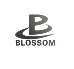 GUANGZHOU BLOSSOM LEATHER CO ., LTD