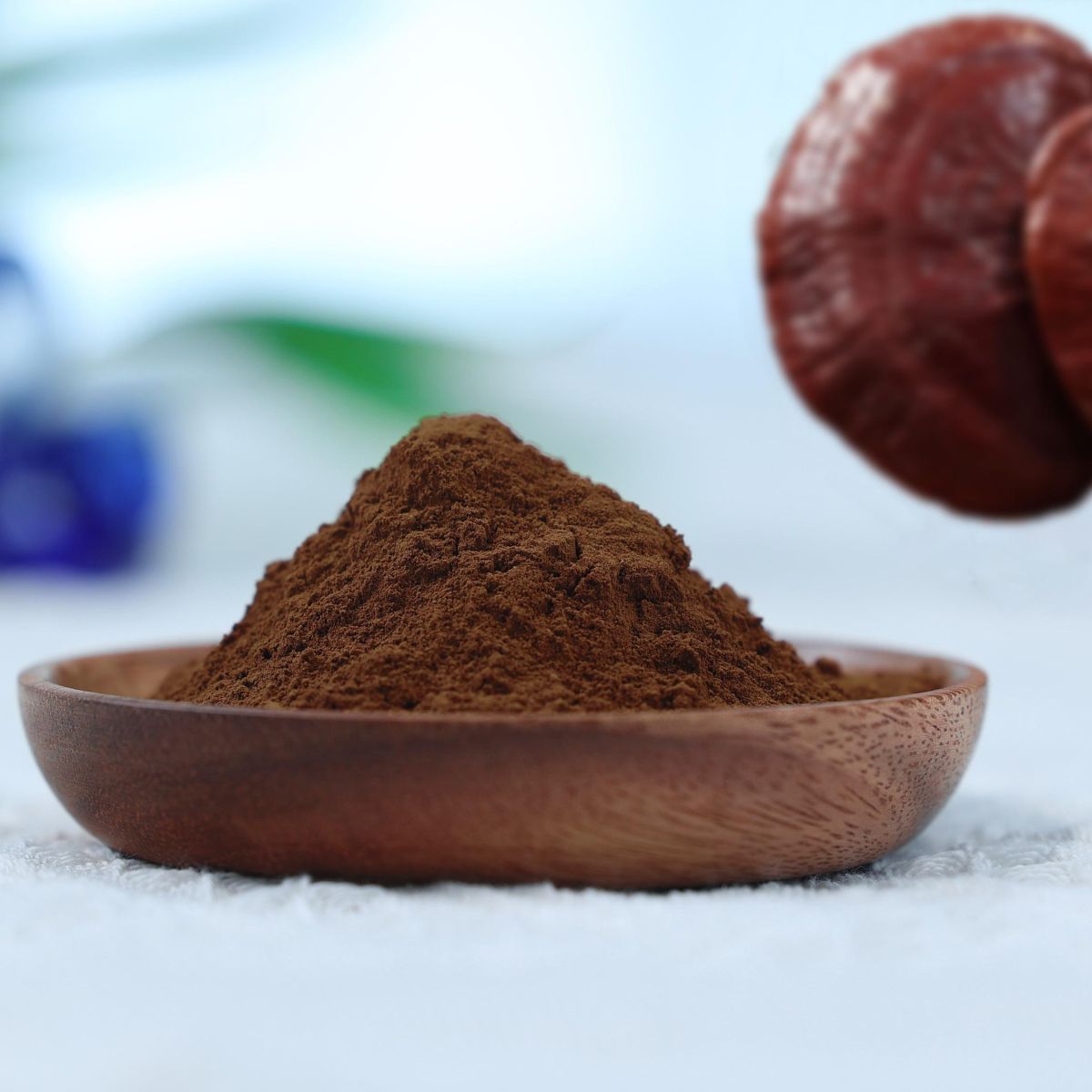 Organic Reishi (Ganoderma lucidum) Dual Extract 15:1