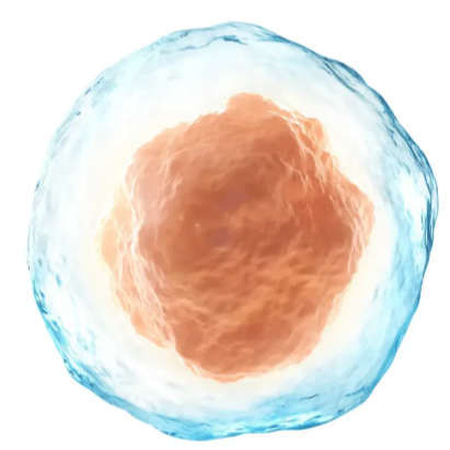 Authentic Human and Animal Cells