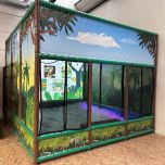 Interactive Ball Pool