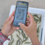 Revolutionizing the Aquaculture Industry with Technological Innovation