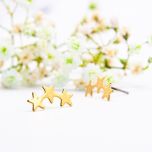 Gold Plated Earrings