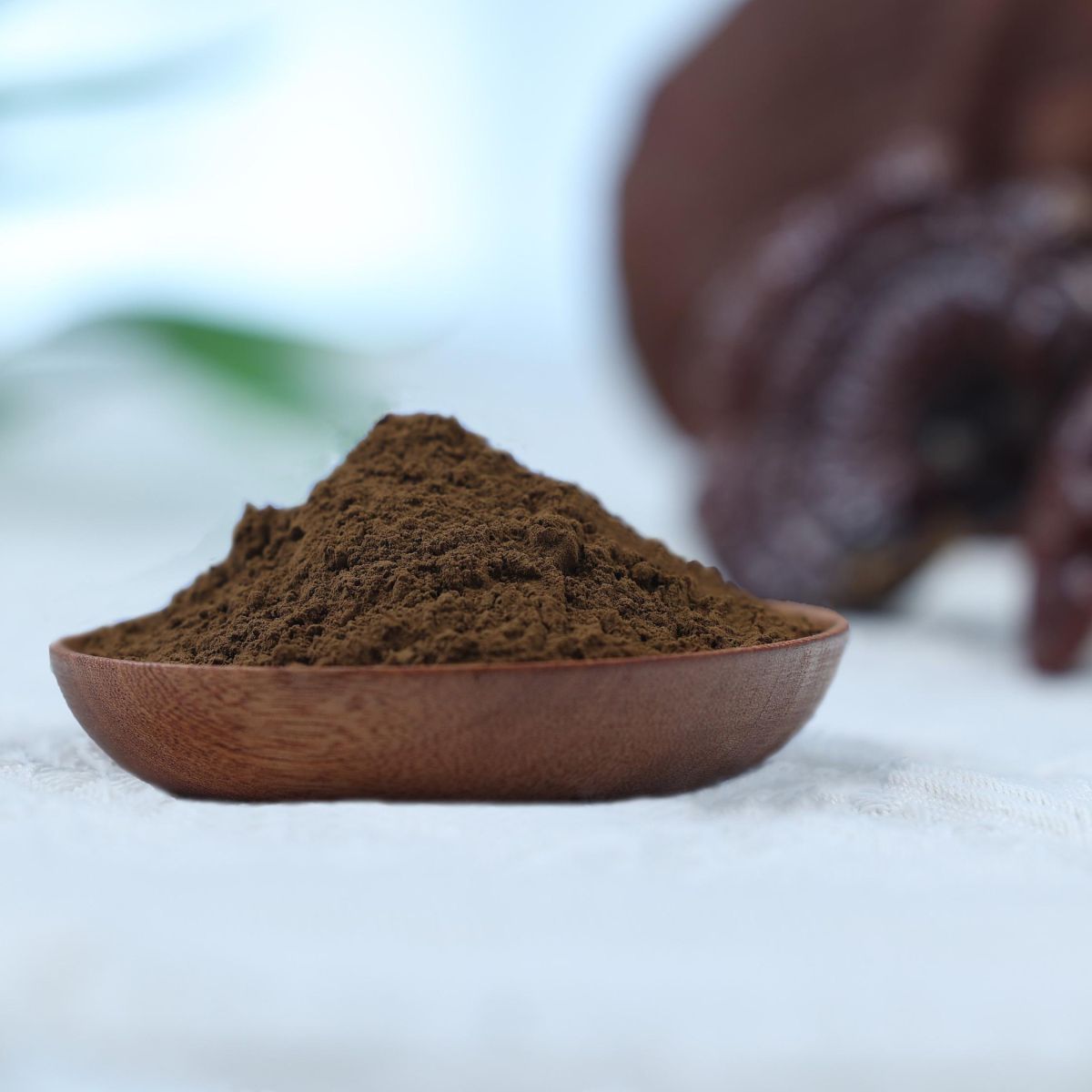 Organic Reishi (Ganoderma lucidum) Extract 15:1