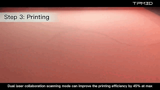 SLS Printing process _TPM3D double laser printer S600DL