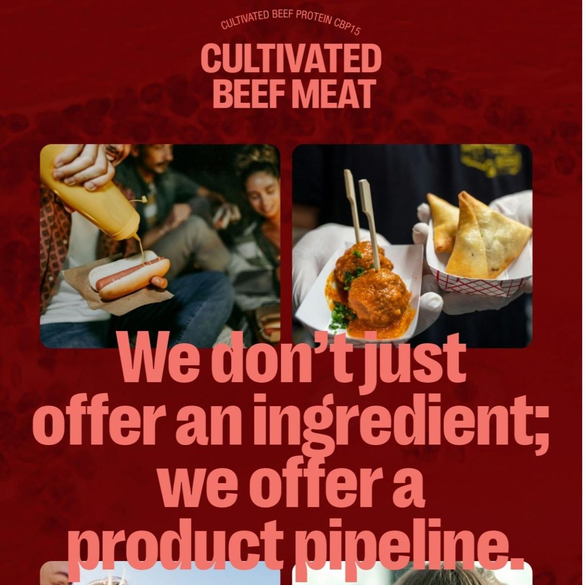 Cultivated Beef Meat
