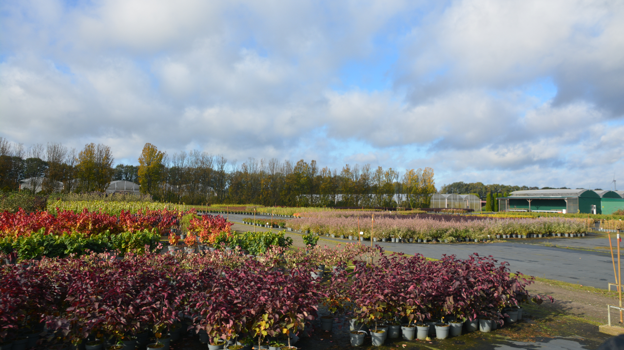 Peut-on se passer de tourbe demain ?