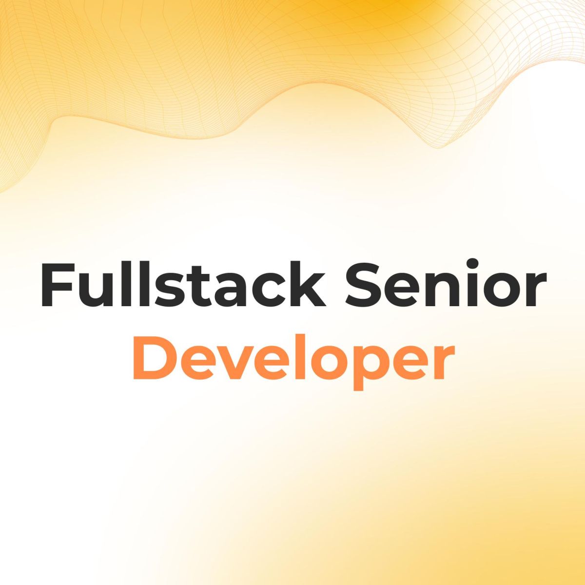 Full Stack Developer