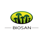 Organic Lion’s Mane Dual Extract (Low temperature dried)