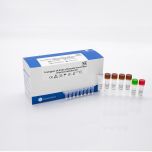 Cowingene 14 Kinds of Sexually Transmitted Infection Detection Kit——Lyophilized