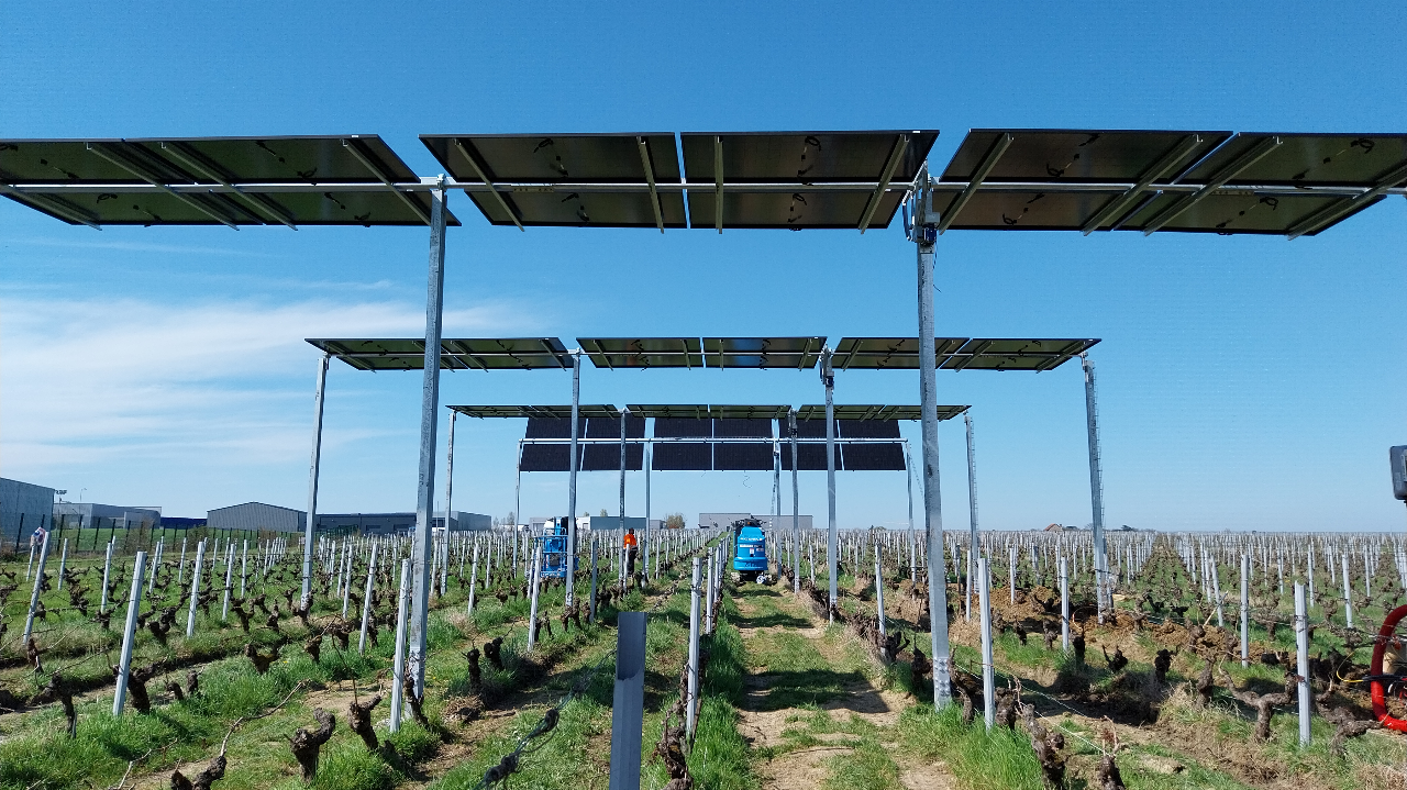 Retour d’expérience sur l’installation d’un démonstrateur agrivoltaïque sur vigne