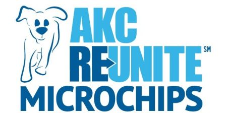 AKC Reunite