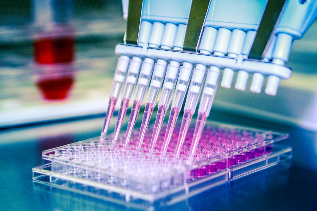 Quality Control Testing