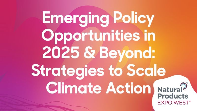 Emerging Policy Opportunities in 2025 & Beyond: Strategies to Scale Climate Action