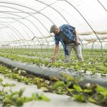 Agricultural Products