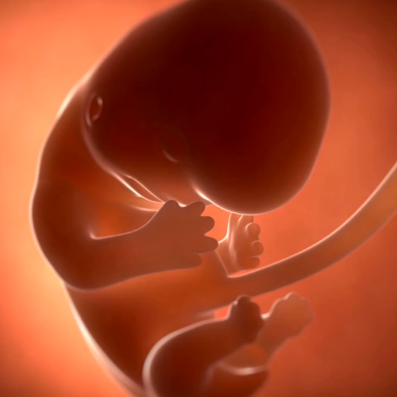 iSAFE NIPT Prenatal Screening by dPCR (Same Day Report)