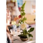 Bloom & Keep Luxe Experience