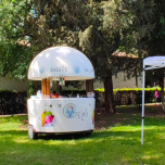 CHIOSCO DREAM, DREAM UP, DREAM CUP