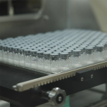 Lyo-Modelling and Lyophilization Process Development