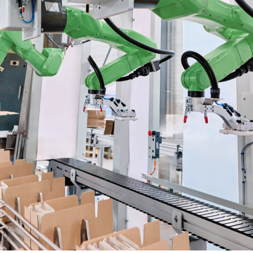 SEABOX - Our Automatic Case Packers