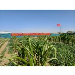 The Taklamakan Desert area in the southern Xinjiang region