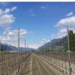 Poteaux acier arbopic