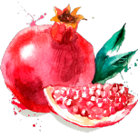 POMANOX®: POMEGRANATE FRUIT EXTRACT