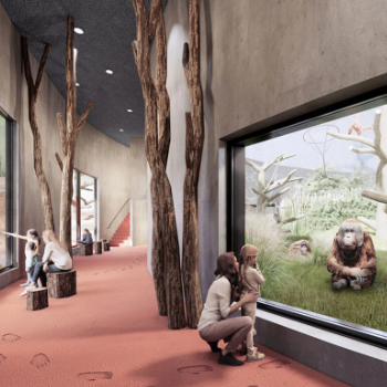 A new home for orangutans at Dresden Zoo