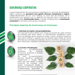 Governança Corporativa