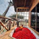 Unforgettable Tanzania Safari Experience