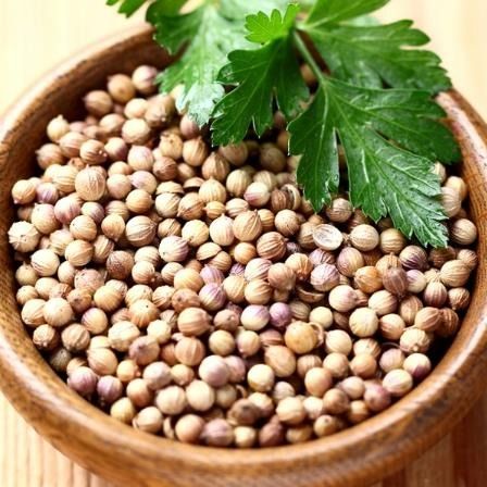 CORIANDER SEEDS