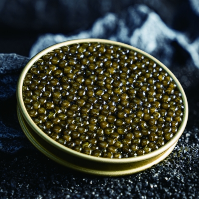 Caviar KALUGA HYBRID