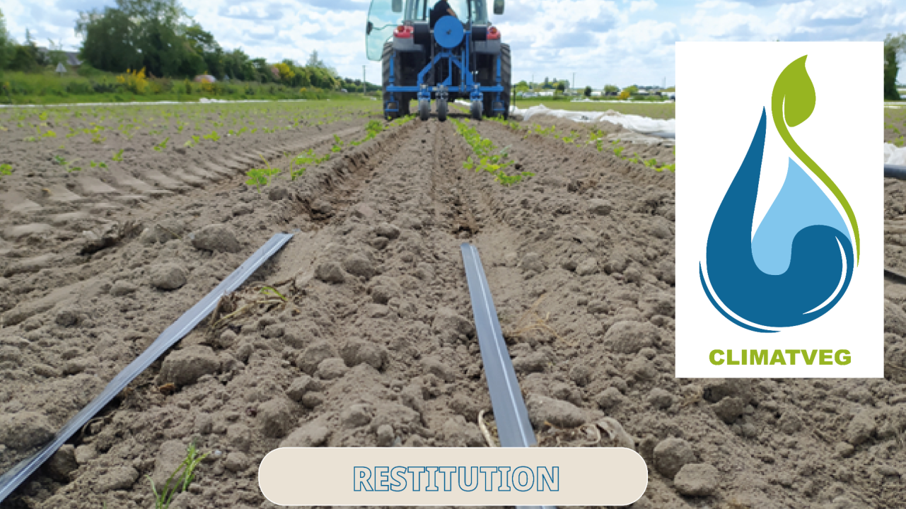 Optimiser l’efficience de l’irrigation en maraîchage : L'irrigation par goutte à goutte enterré est-elle faisable sur culture maraîchère de plein champ ? Quels outils d’aide à la décision permettraient de piloter ce type d’irrigation ?