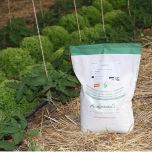 100% ORGANIC agro-ecological seeds