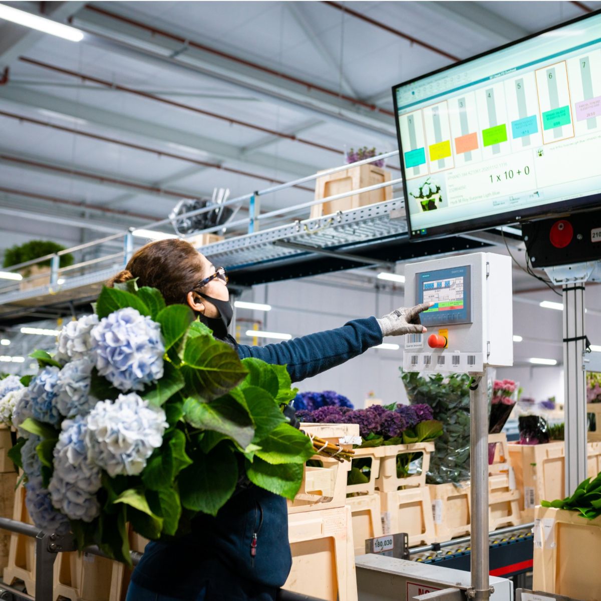 Hoek Group mechaniseert en integreert logistieke processen met WMS/WCS