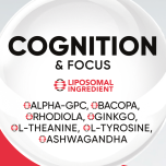 Metazome™ Technology — Next-Generation Liposomal Delivery for Superior Bioavailability