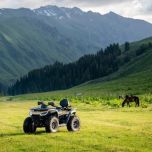 SNARLER AT10 W PREMIUM