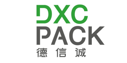 HONG KONG DXC INDUSTRIAL LIMITED